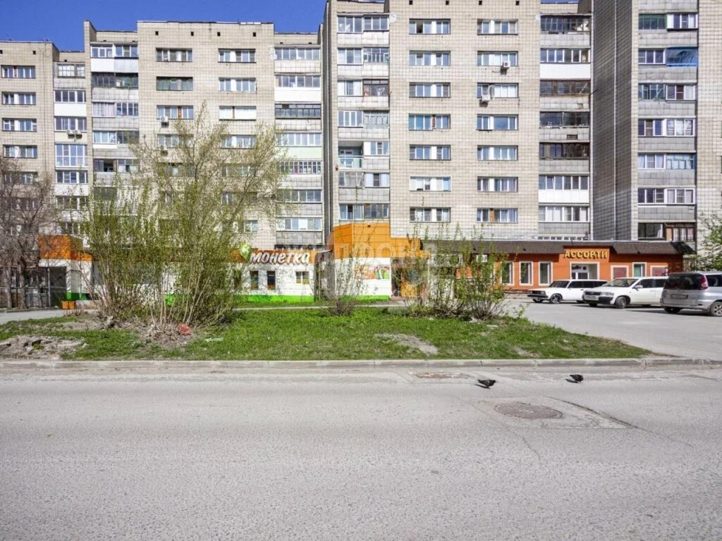 Продажа квартиры, Новосибирск, ул. Новая Заря - Фото 30