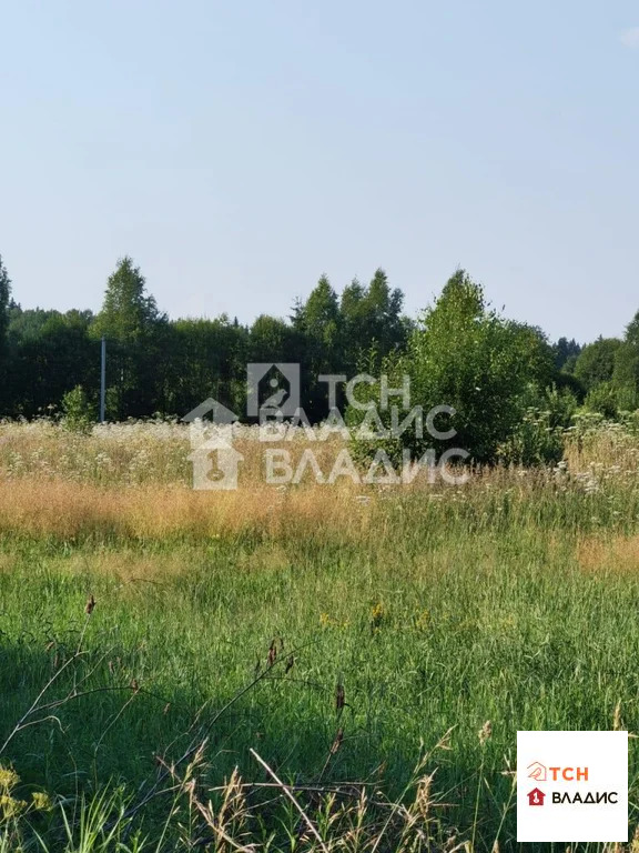 Можайский городской округ, село Борисово,  земля на продажу - Фото 4