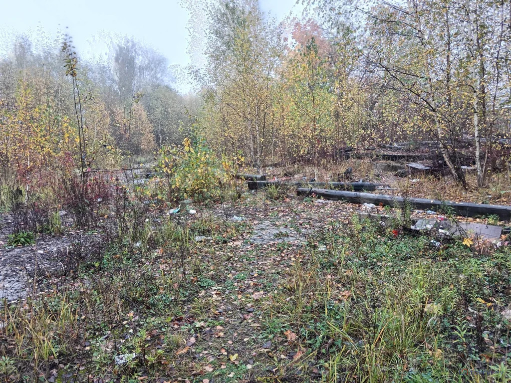 Продажа ПСН, Краснозаводск, Сергиево-Посадский район, ул. 1 Мая - Фото 1