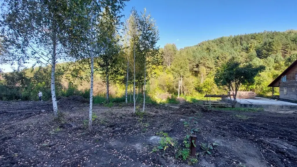 Живописный участок в Белокурихе от собственника! - Фото 10