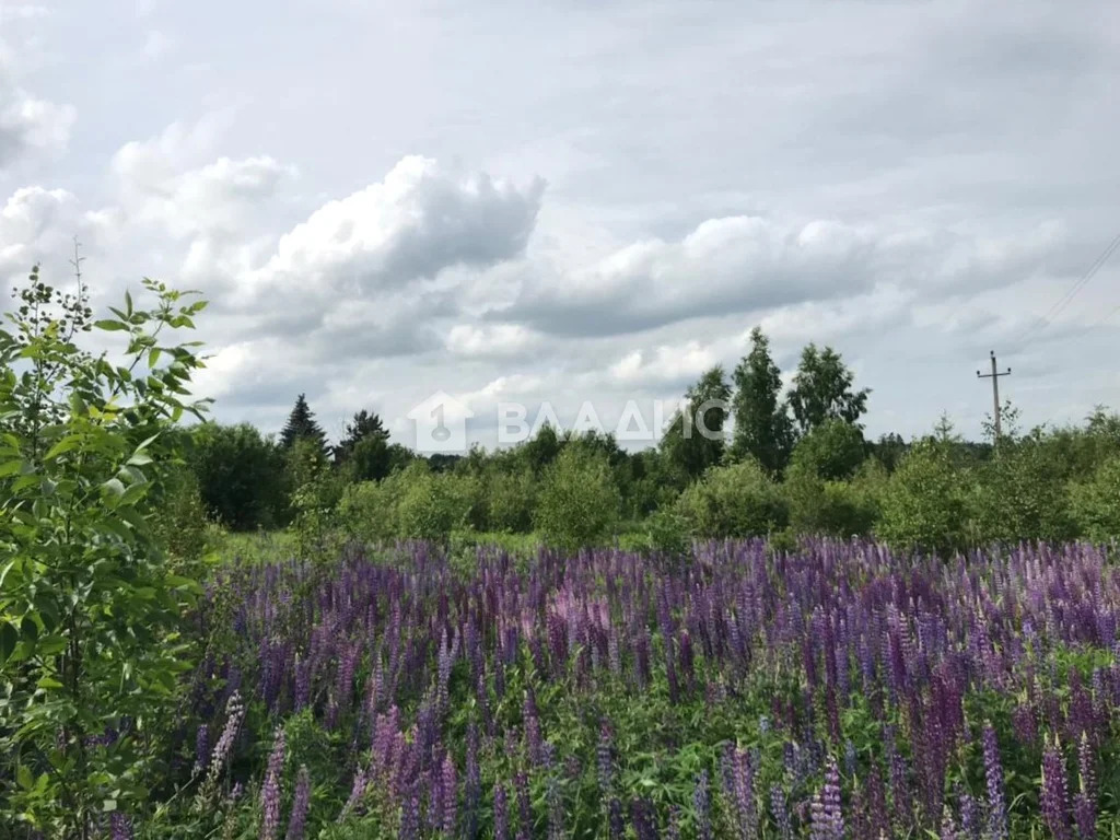 городской округ Владимир, Владимир, Ленинский район, Береговая улица,  ... - Фото 6