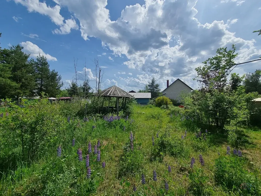 Участок 6 сот. (СНТ, ДНП) - Фото 4