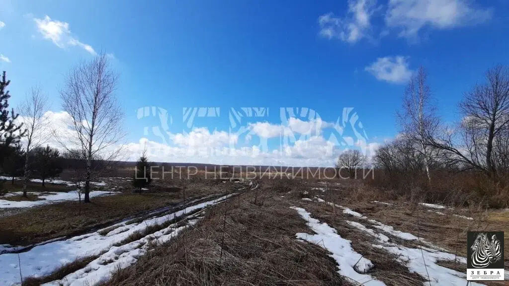 Продаю участок 25.0 сот. Владимирская область, Александровский район, ... - Фото 2