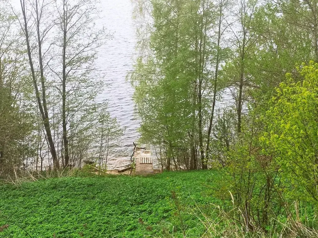 Участок 22,5 соток с домом на 1 линии р. Волга 20 метров от уреза воды - Фото 27