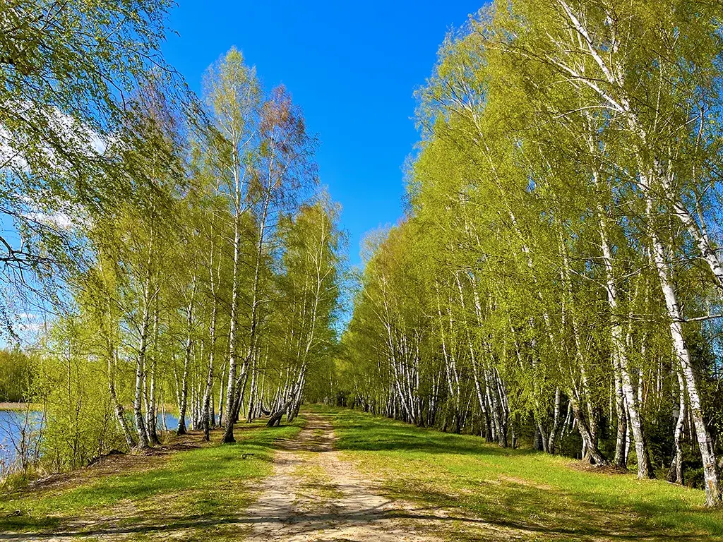 Дача в СНТ Москвич - Фото 19