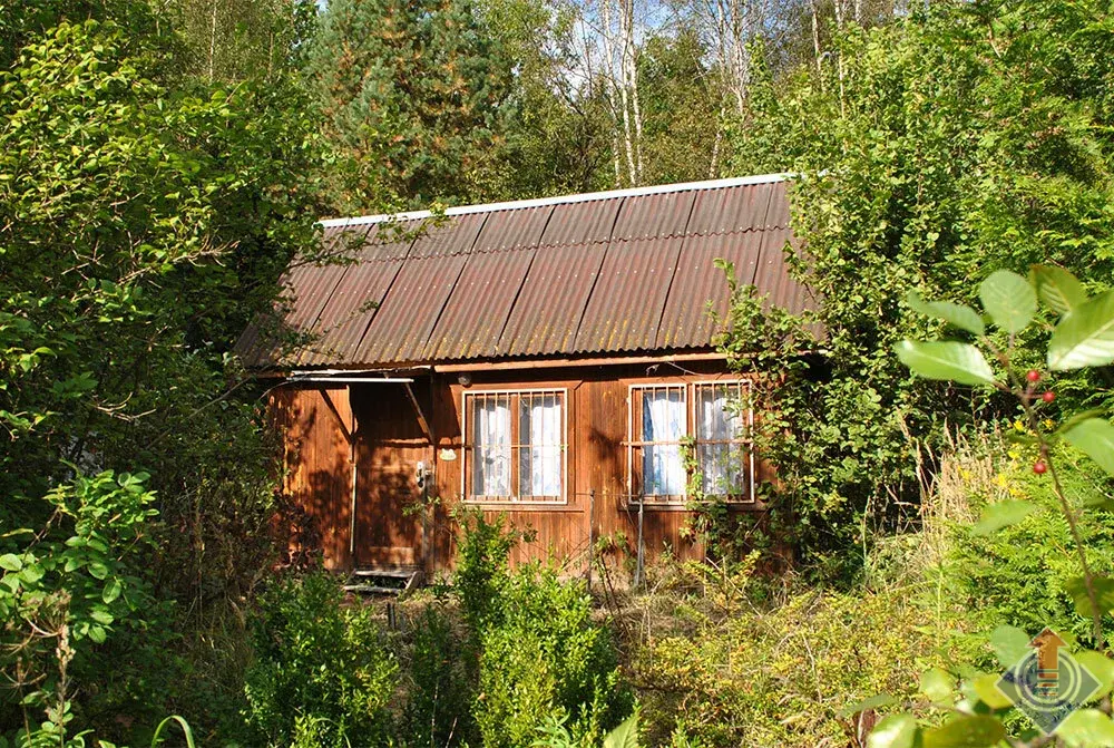 Дача в лесу на 9 сотках в СНТ Репка у д. Шапкино, Наро-Фоминский район - Фото 12