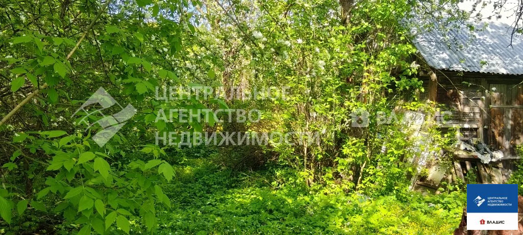 Продажа участка, Семено-Оленинское, Рязанский район, ул. Лесная - Фото 11