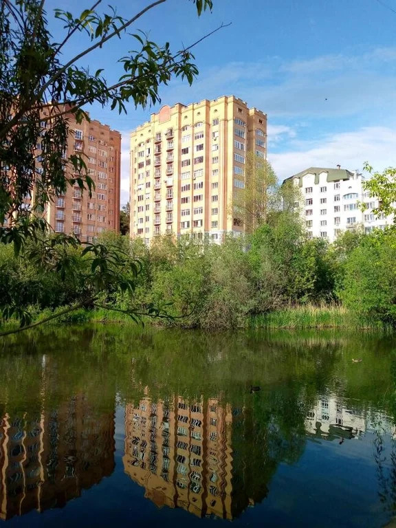 Продажа квартиры, Новосибирск, ул. Лесосечная - Фото 3