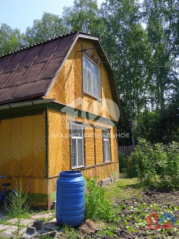 Новосибирский район, садоводческое некоммерческое товарищество ... - Фото 0