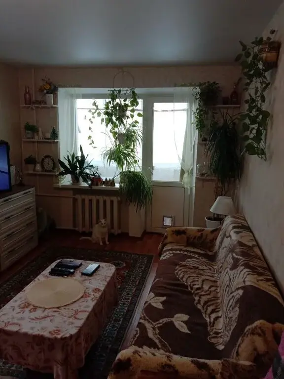 квартира - Фото 2