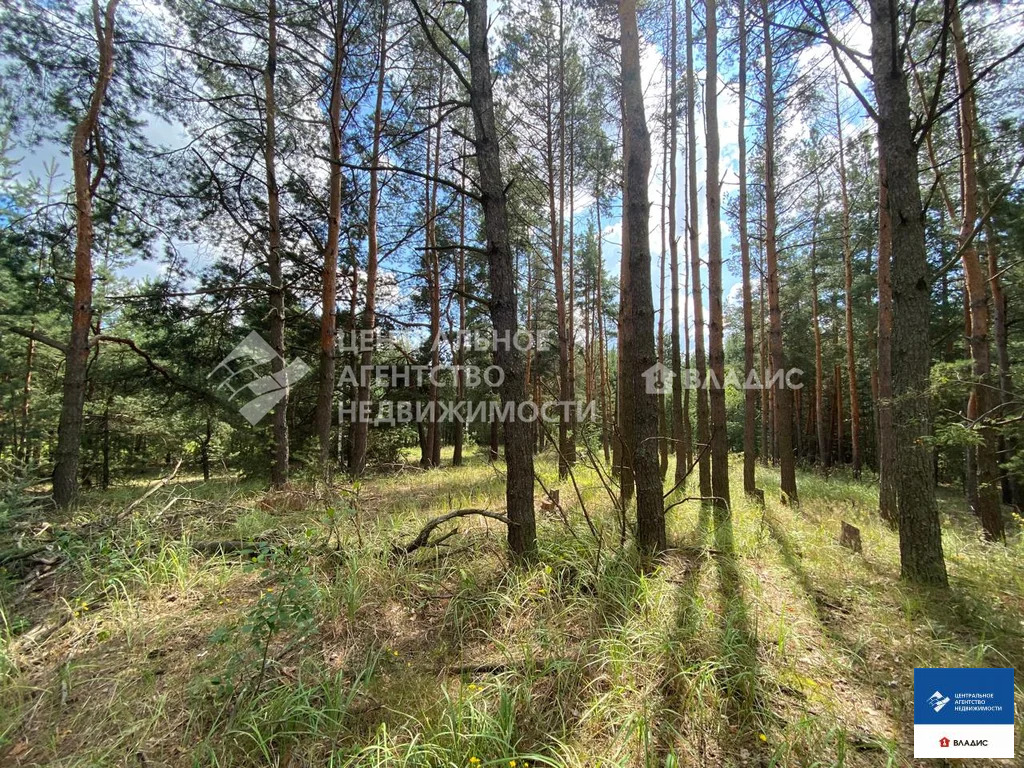 Продажа участка, Рязанский район - Фото 1