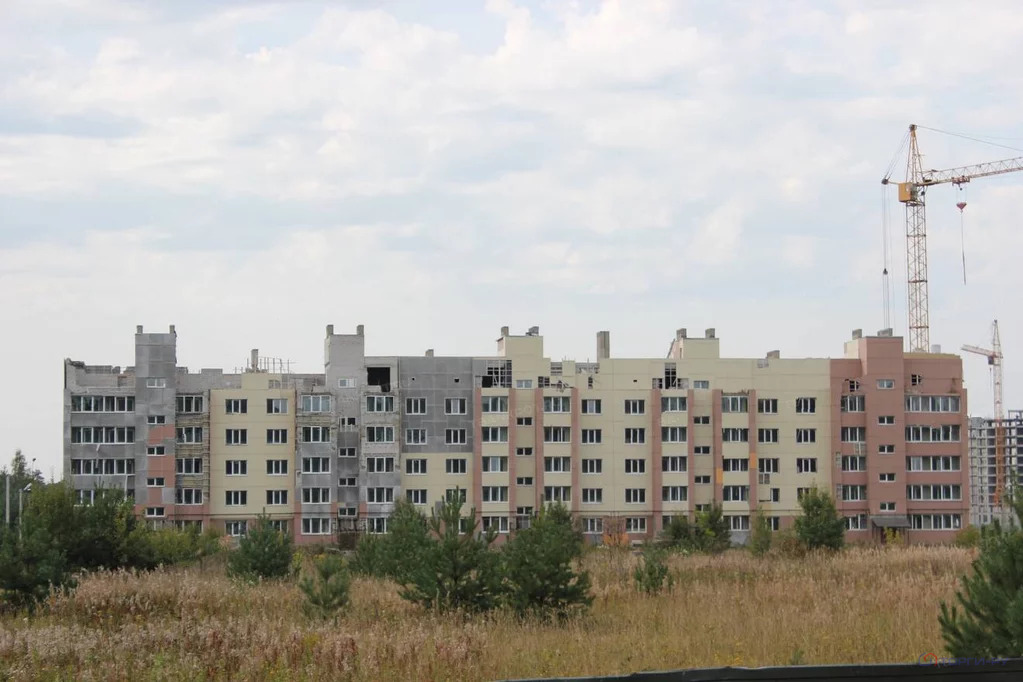 Продажа земельного участка, Ярославский район, Пос. Красный Бор - Фото 5