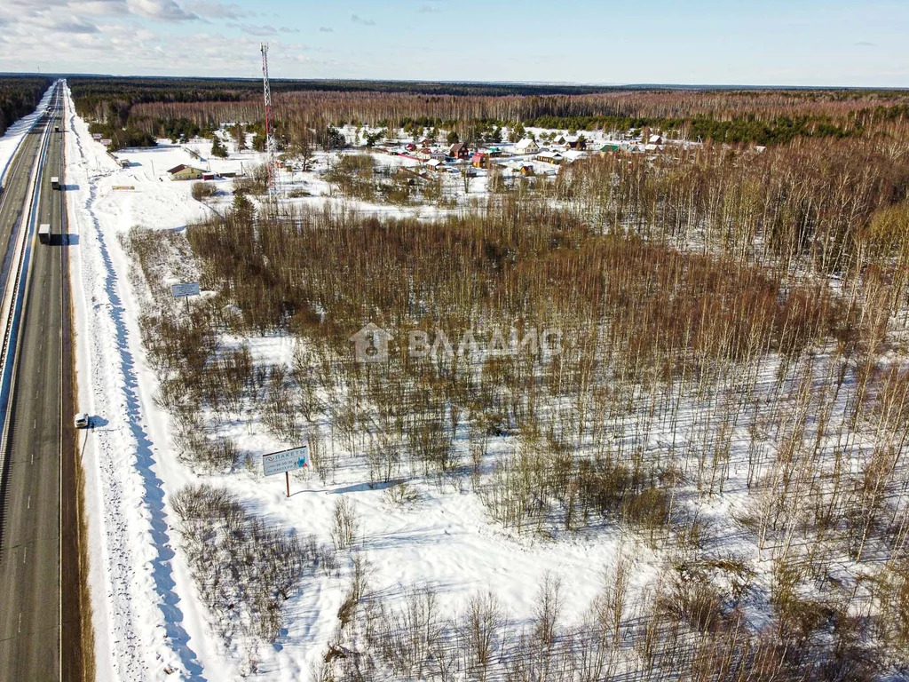 Земельный участок на продажу, Судогодский район, деревня Глебово - Фото 27