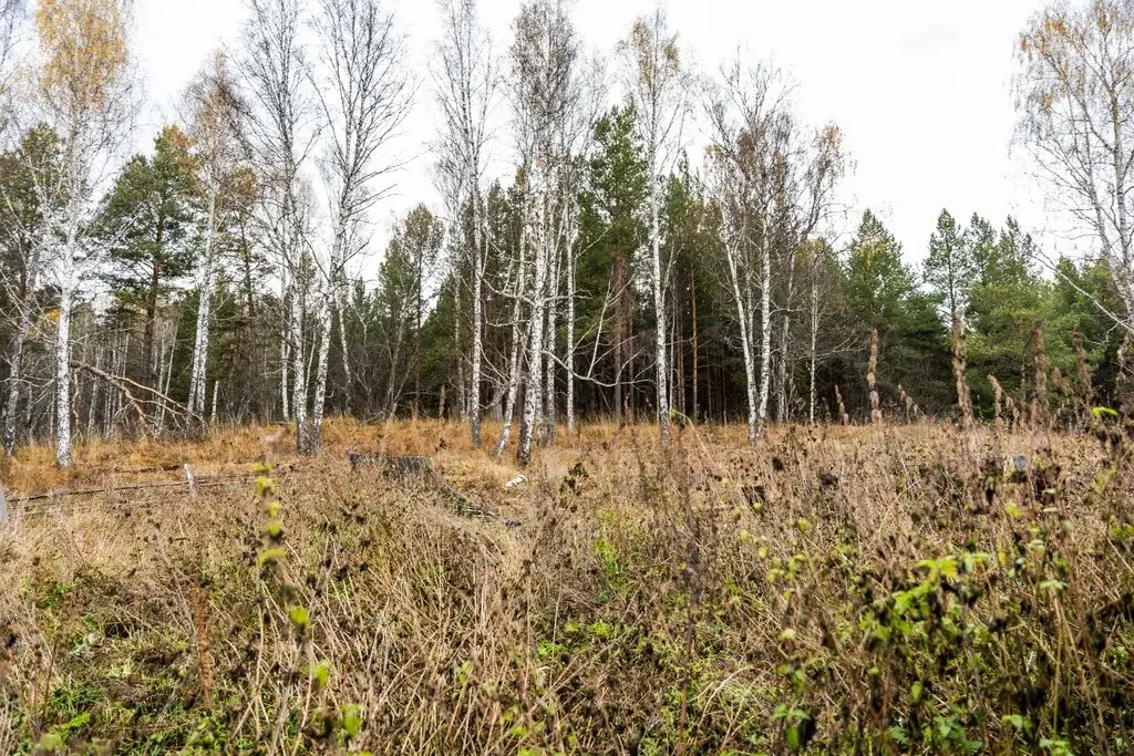 Дом в д. Бехтерева - Фото 12