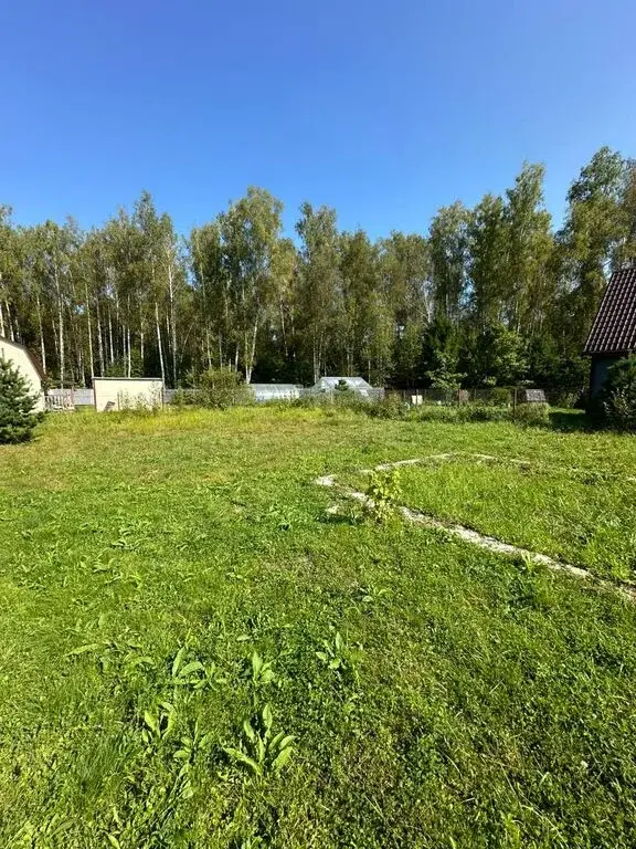 Участок в окружение леса Снт Уголёк с фундаментом 3х4 - Фото 3