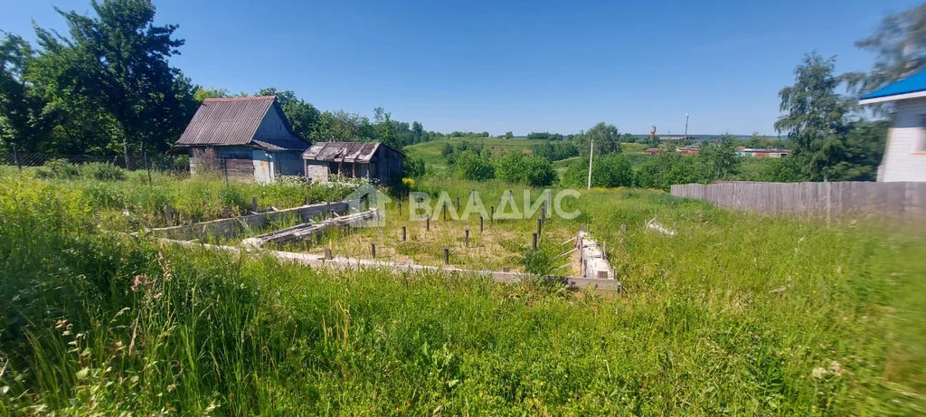 Суздальский район, село Сновицы,  земля на продажу - Фото 6