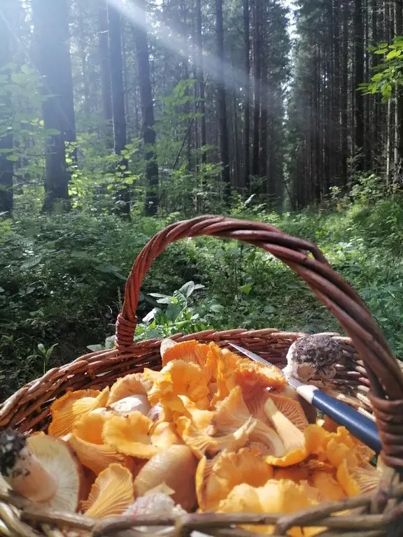 Сдам домик в деревне - Фото 7