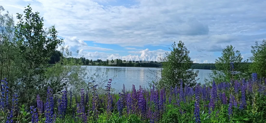 Вязниковский район, деревня Ям,  дом на продажу - Фото 14