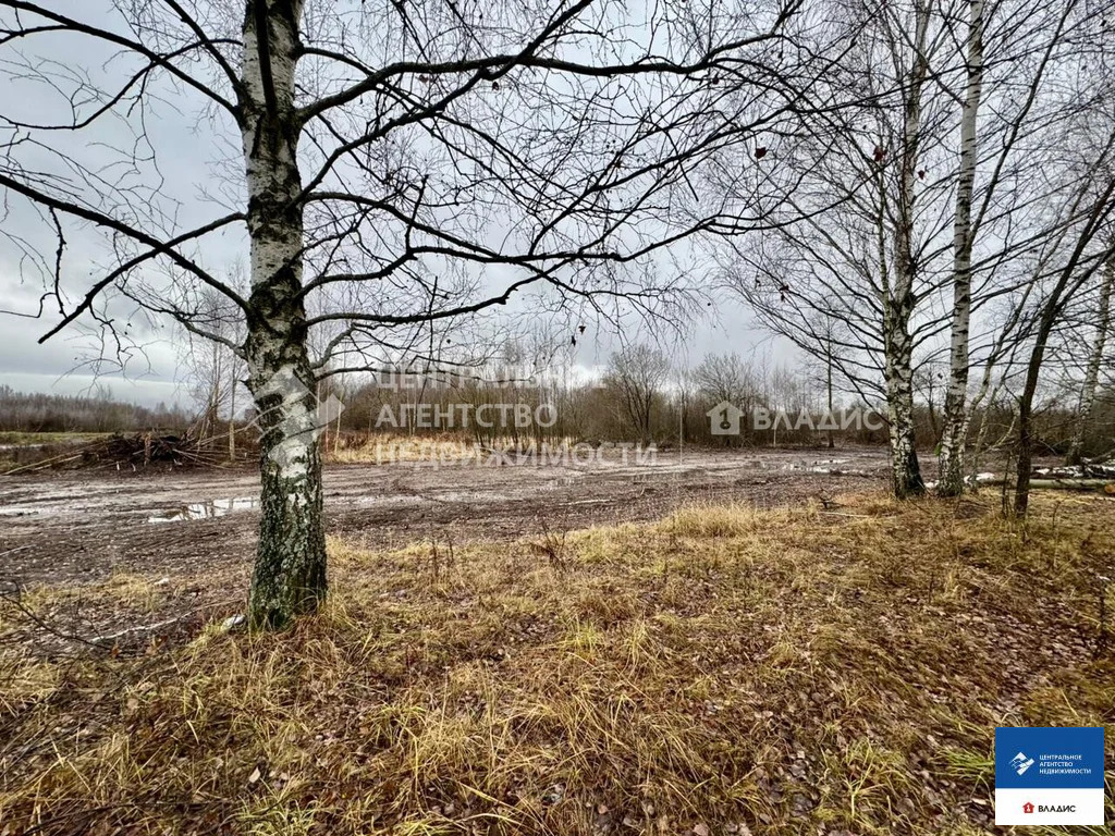 Продажа участка, Варские, Рязанский район, ул. Новая - Фото 2