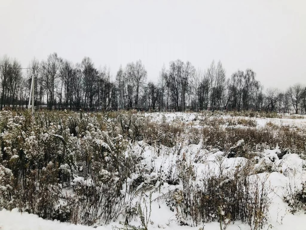 Купить Дом В Дмитровском Районе Зверково