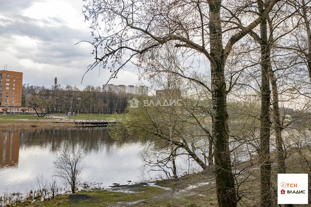 Продажа ПСН, Пушкино, Воскресенский район, 2-й Фабричный проезд - Фото 32