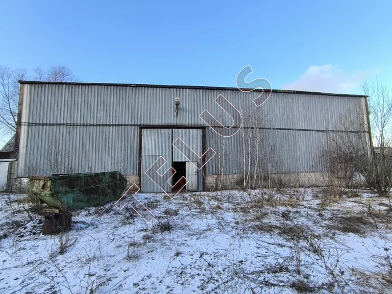 м. Строгино, ул. Маршала Прошлякова, 2728 м2, Склад (ном. объекта: ... - Фото 6