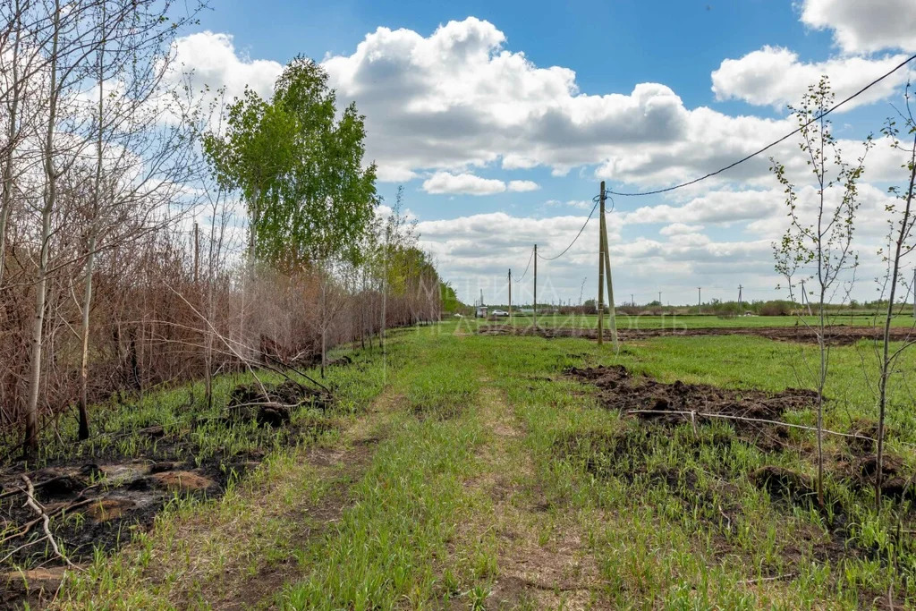 Продажа участка, Тюмень, г Тюмень - Фото 5