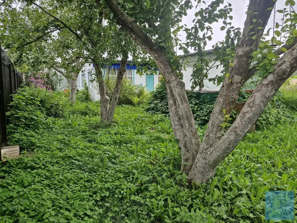 24,2 сотки ЛПХ в д. Редино - Фото 19