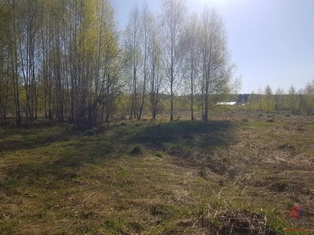 Продаётся участок 10 сот. Раменский район, д. Панино, КП "Панино" - Фото 2