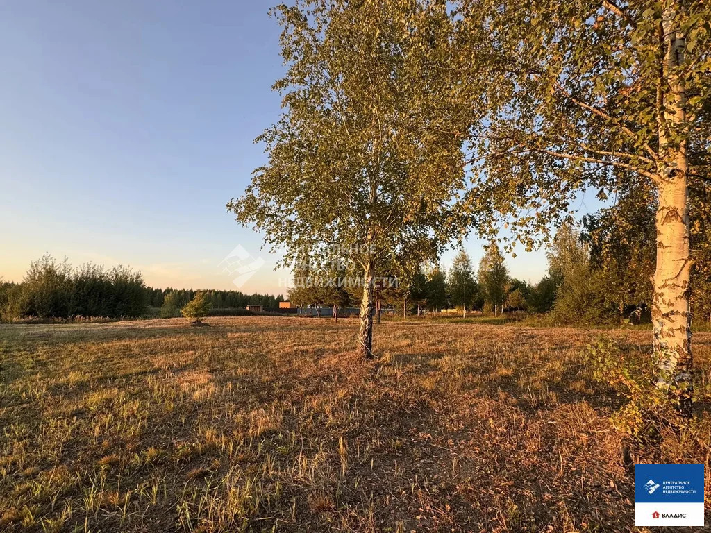 Продажа участка, Рязанский район - Фото 17