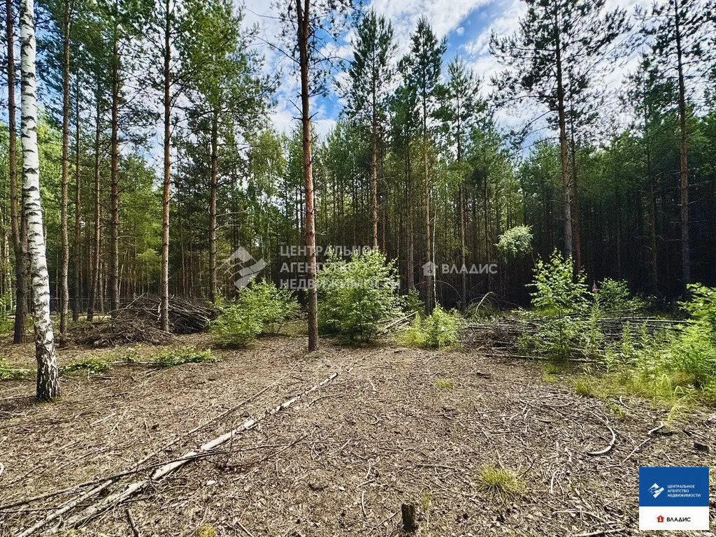 Продажа участка, Мурмино, Рязанский район - Фото 1
