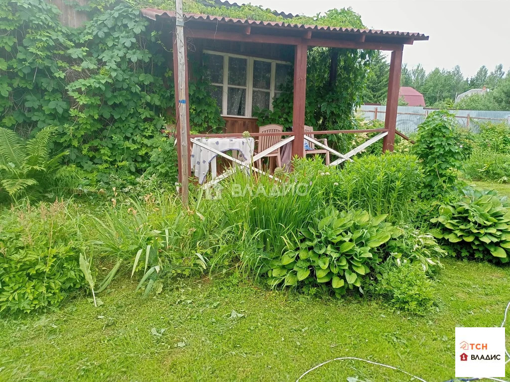 Продажа участка, СНТ Ветеран, Домодедово г. о. - Фото 1