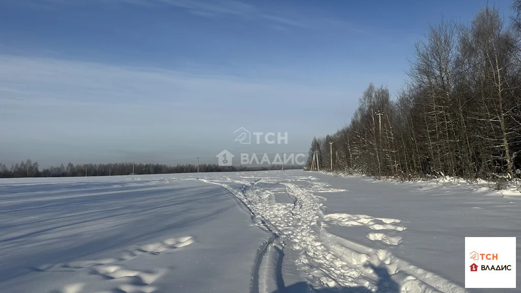 Продажа участка, Богородский г. о. - Фото 1