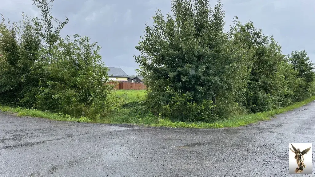 Земельный участок в ДНТ Поляна-2 (массив Белоостров) - Фото 5