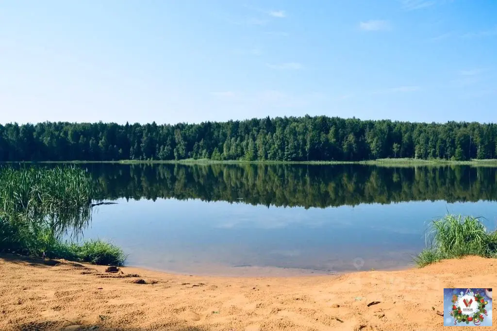 Продаю участок 10.0 сот. Владимирская область, Киржачский район, ... - Фото 3