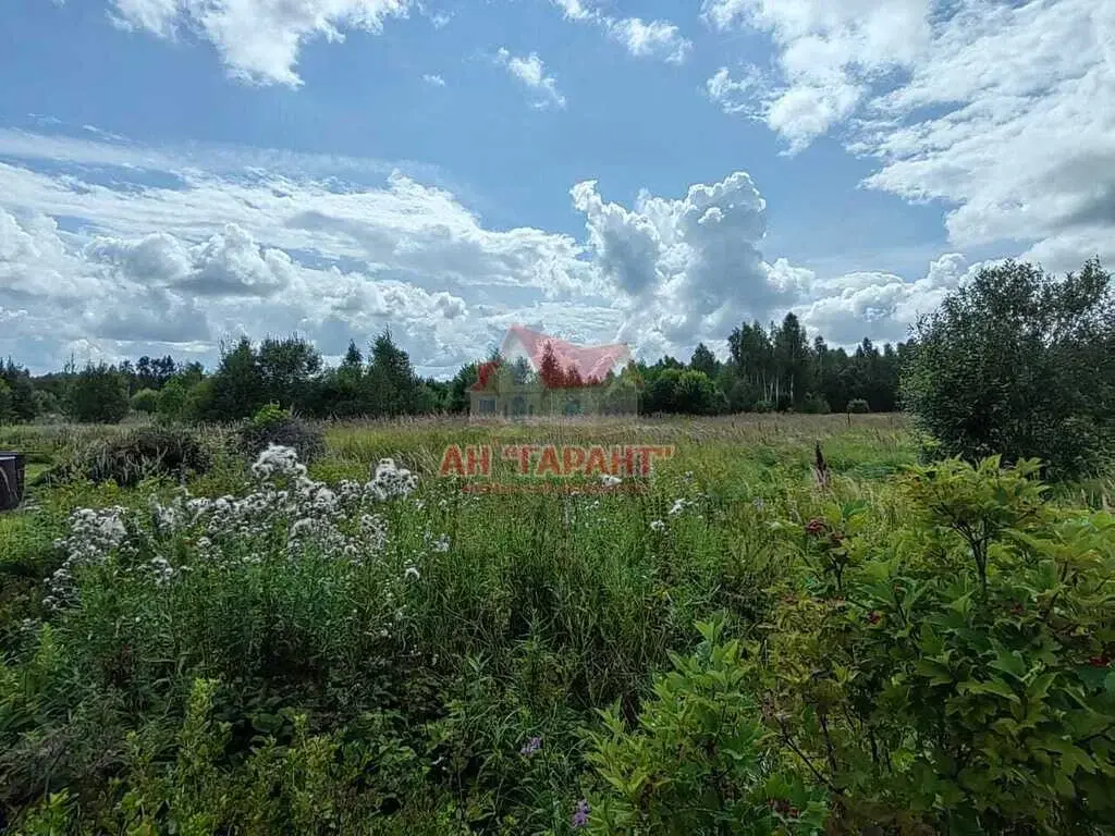 Дом в д.Буньково Александровский р-н Владимирская обл. - Фото 36