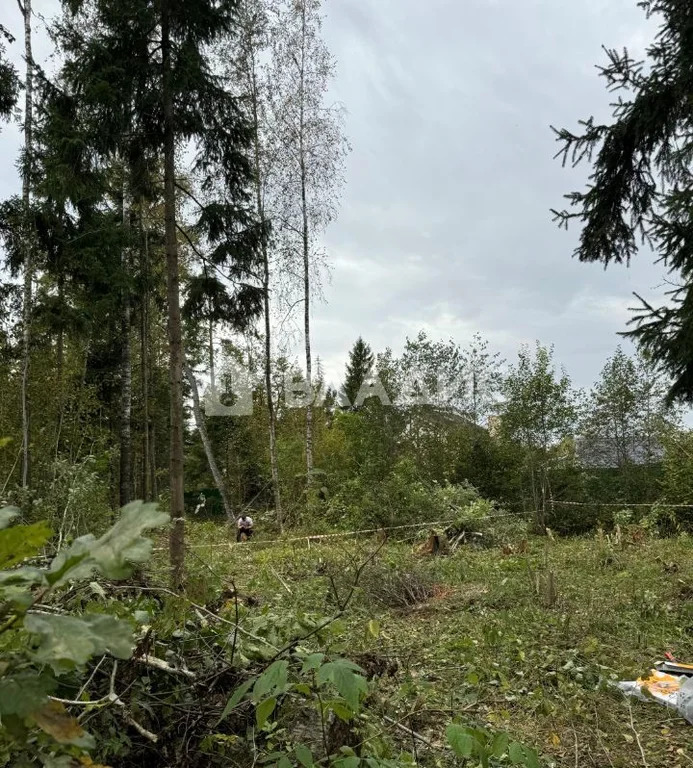 городской округ Солнечногорск, село Алабушево, микрорайон Дедёшино, ... - Фото 2