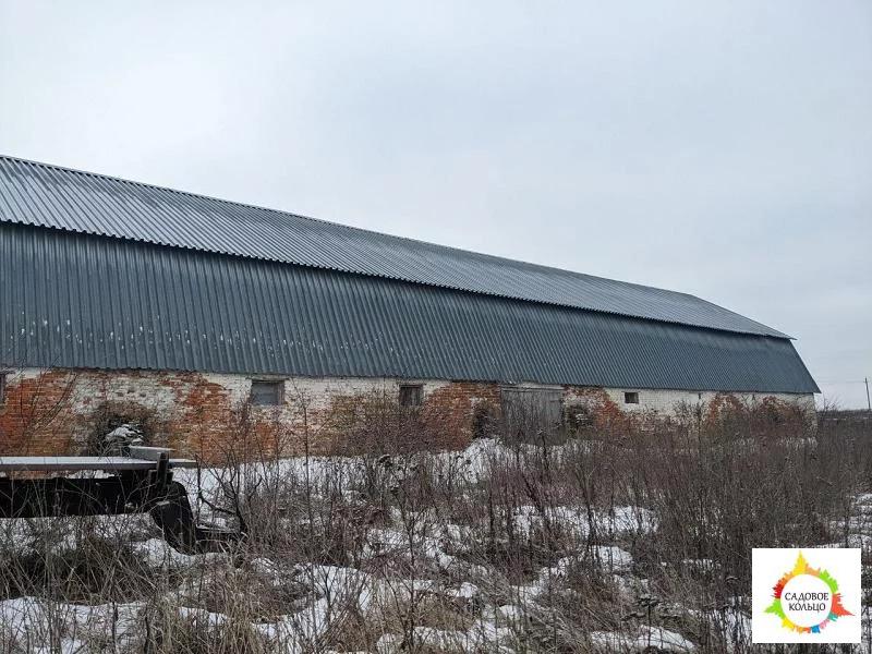 Предлагается в аренду под производственную базу комплекс строений обще - Фото 1