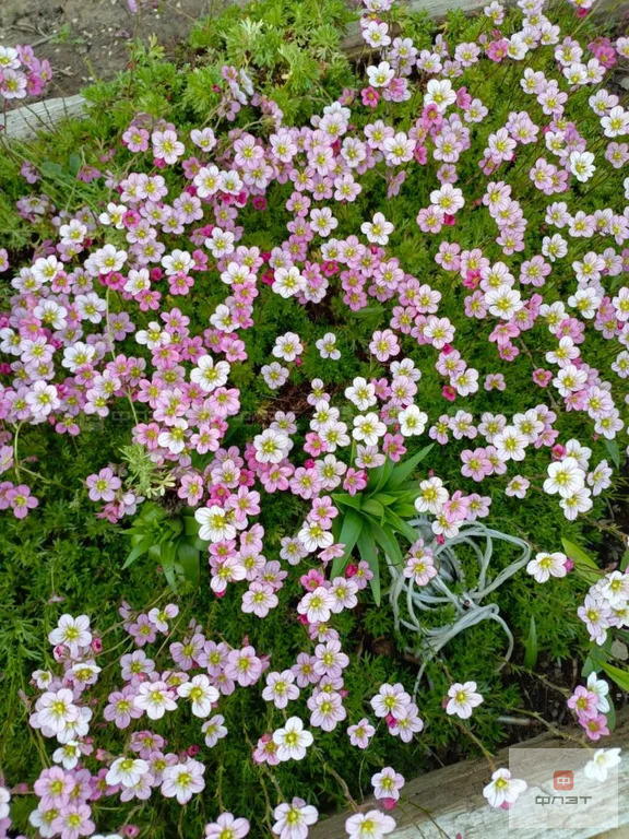 Продажа дома, СДТ Овощник-2, Высокогорский район, 7-я аллея - Фото 15