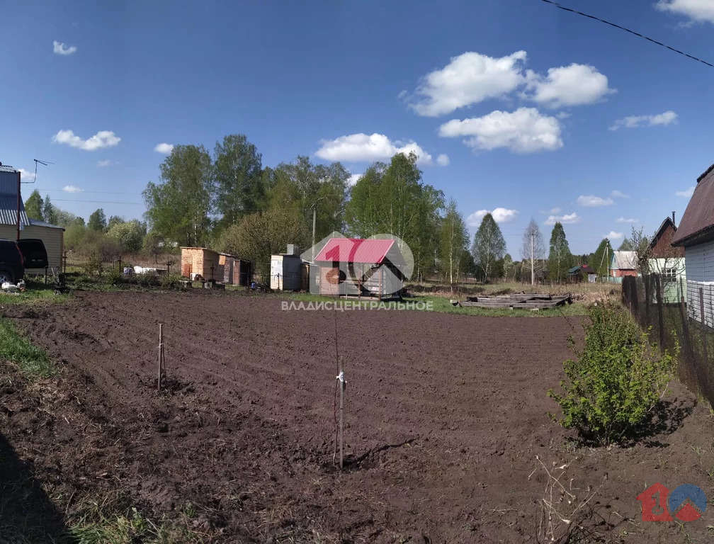 Тогучинский район, садовое товарищество Клубничка,  земля на продажу - Фото 6
