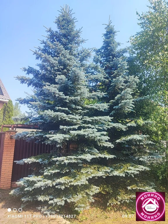 Продажа дома, Монино, Щелковский район, сосновая - Фото 44