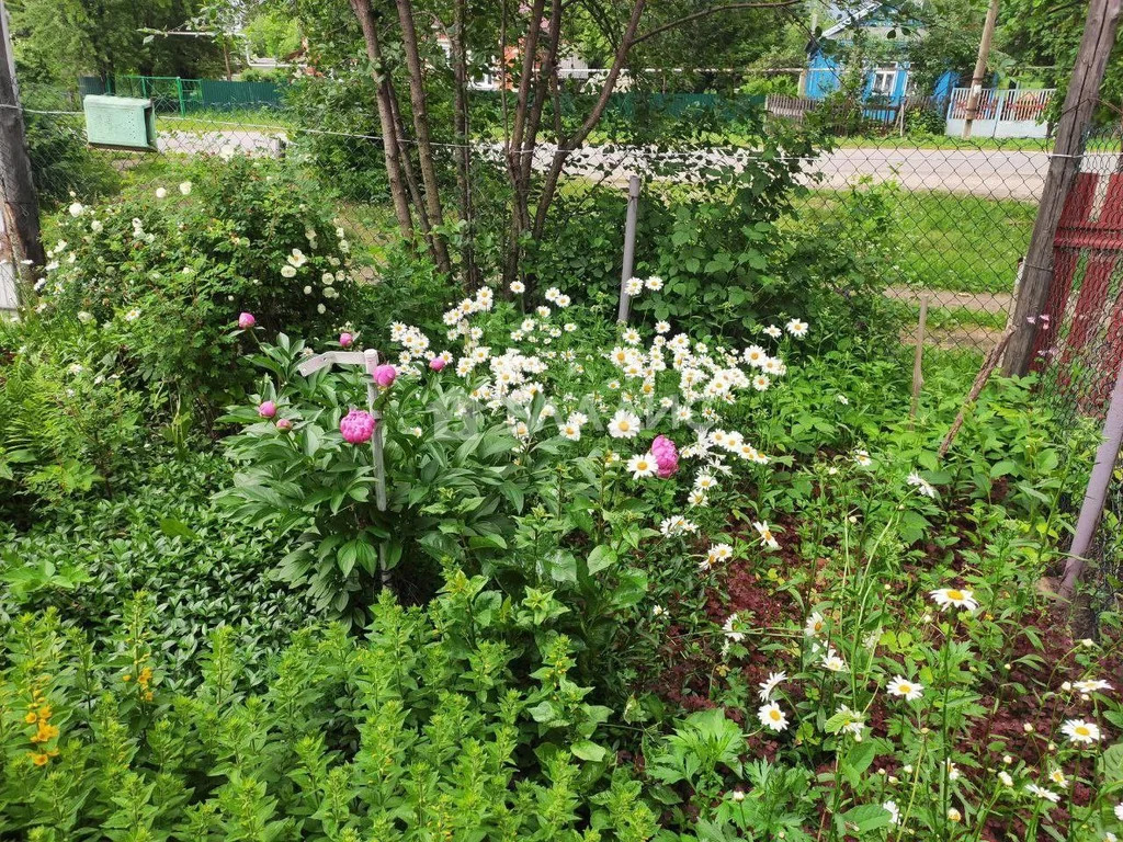 городской округ Перевозский, Перевоз, Станционная улица,  дом на ... - Фото 12