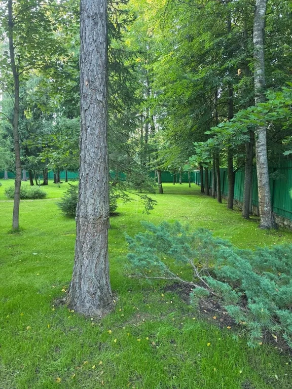 Продажа дома, Трудовая, Мытищинский район, Садовый проезд - Фото 19
