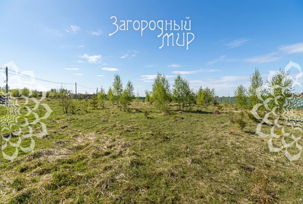 Продам участок, Волоколамское шоссе, 35 км от МКАД - Фото 8