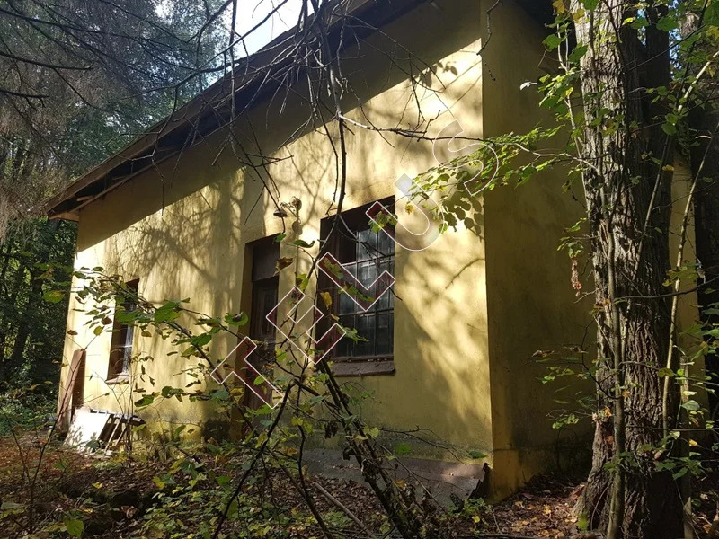 МО, Звенигород, Луцинское шоссе, Участок 8,07 га и строения 4467 м2 ... - Фото 7