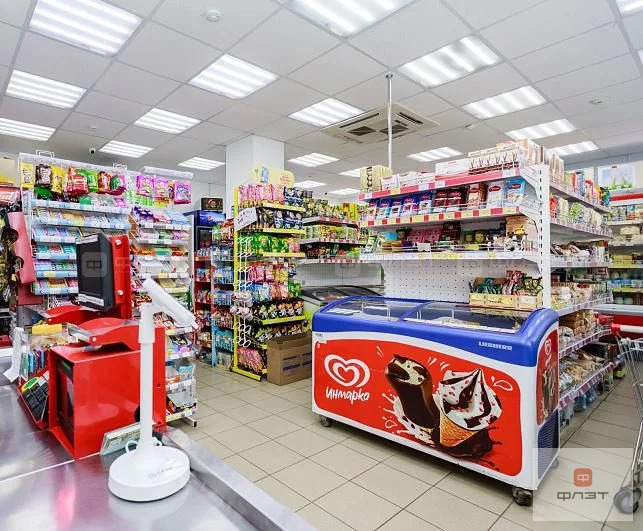 Продажа торгового помещения, Высокая Гора, Высокогорский район, ул. ... - Фото 12