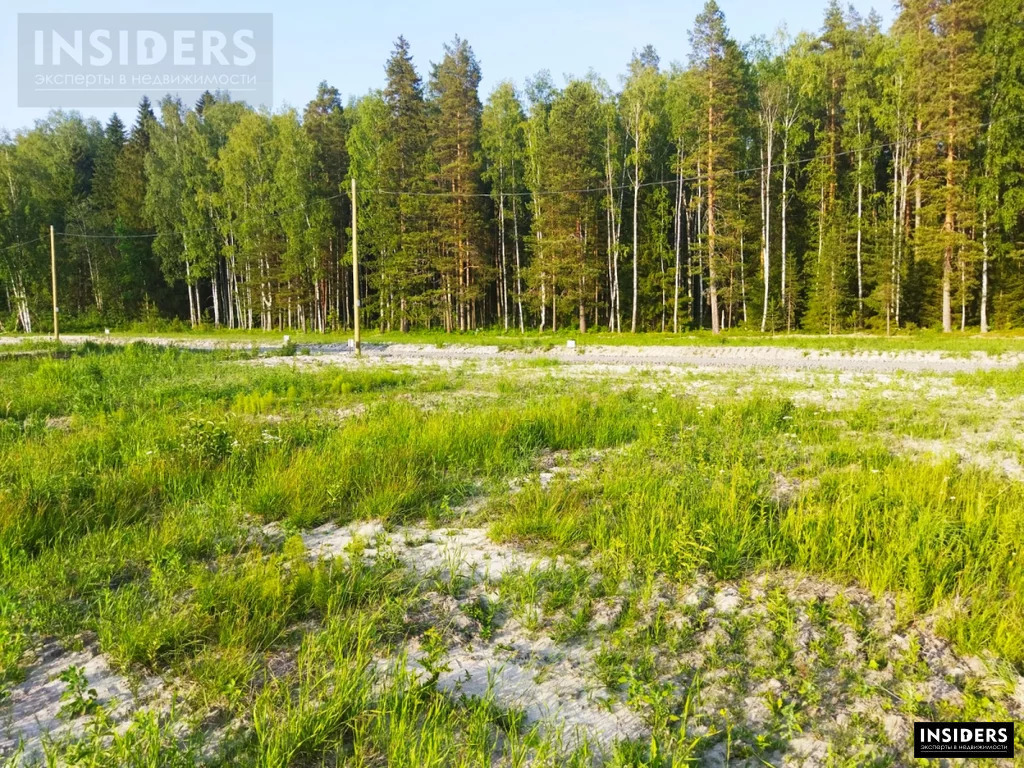 Продажа участка, Приозерский район - Фото 11