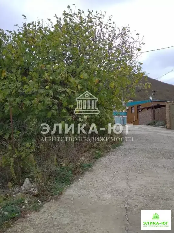 Продажа участка, Ольгинка, Туапсинский район, тер. Пансионат Ольгинка - Фото 5
