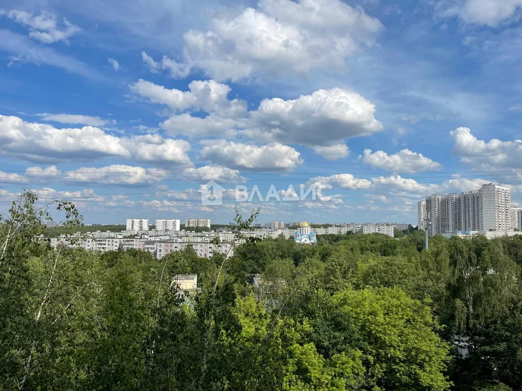 Москва, Литовский бульвар, д.3к2, 2-комнатная квартира на продажу - Фото 12