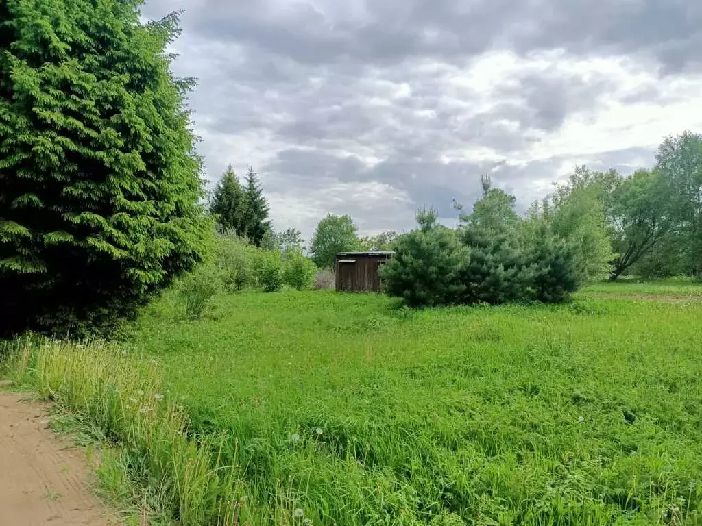 Участок 31 сотка в спокойной деревне Кореньково рядом лес - Фото 0